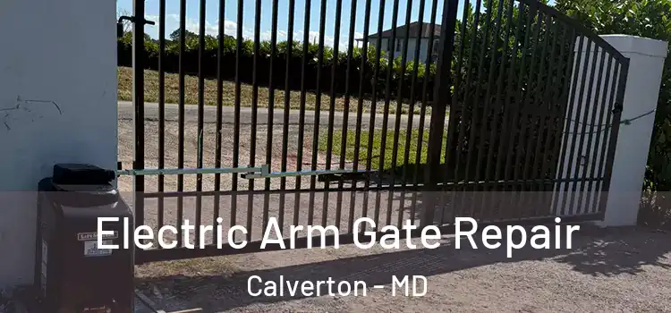  Electric Arm Gate Repair Calverton - MD