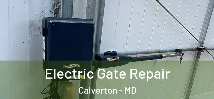 Electric Gate Repair Calverton - MD
