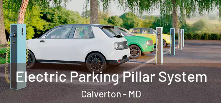 Electric Parking Pillar System Calverton - MD