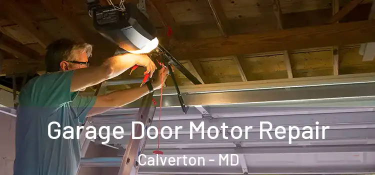  Garage Door Motor Repair Calverton - MD