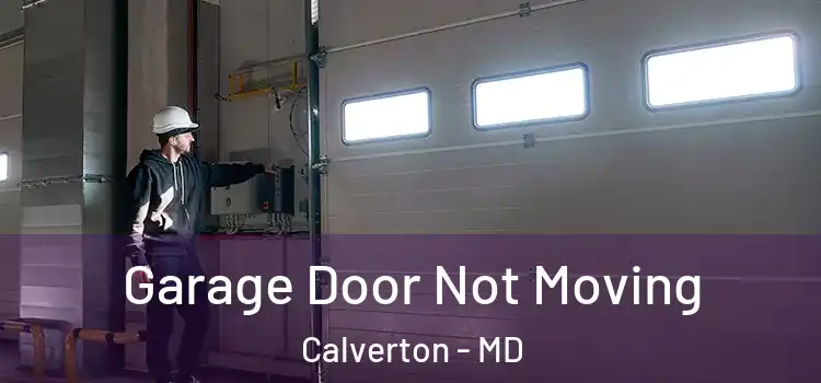  Garage Door Not Moving Calverton - MD