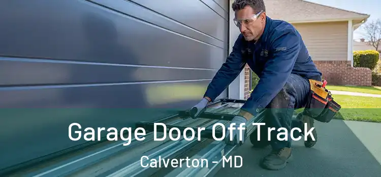  Garage Door Off Track Calverton - MD