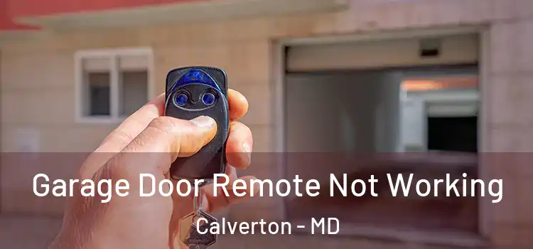  Garage Door Remote Not Working Calverton - MD