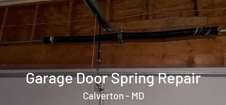  Garage Door Spring Repair Calverton - MD