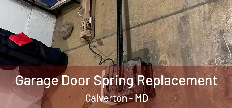  Garage Door Spring Replacement Calverton - MD