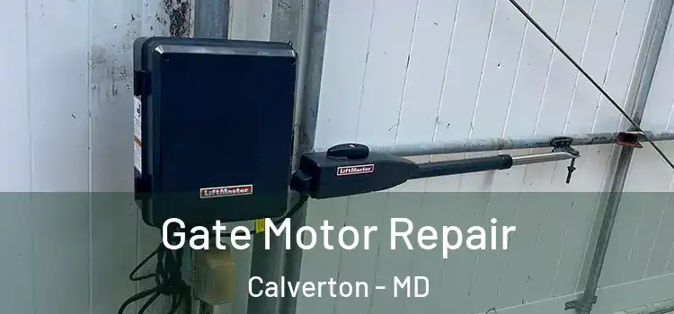 Gate Motor Repair Calverton - MD